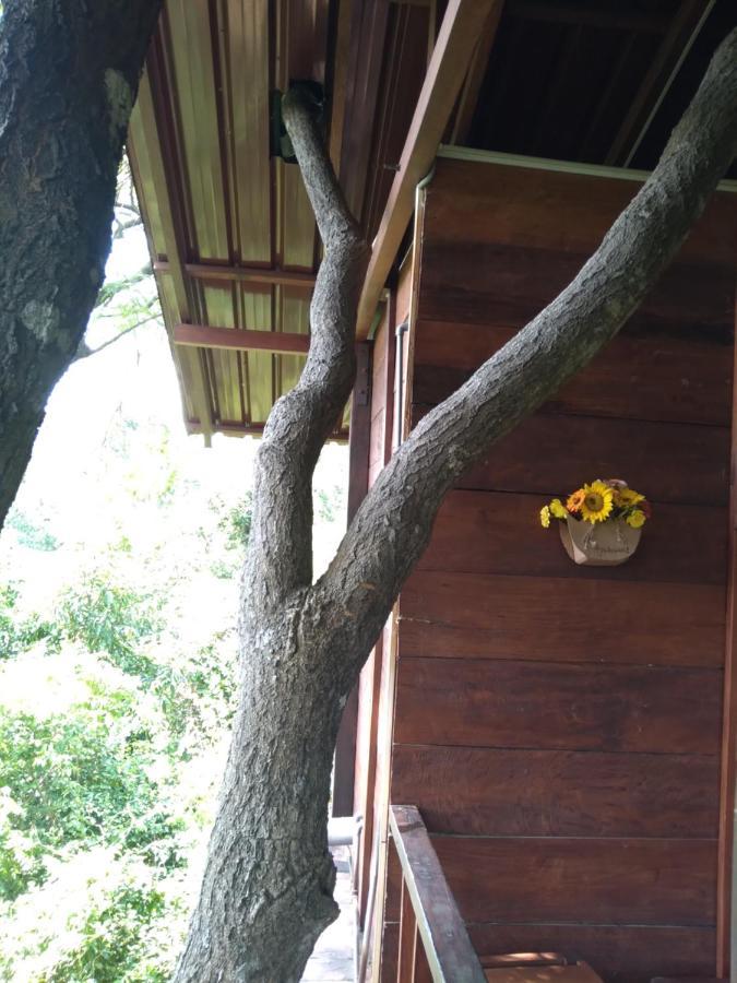 Villa Dambulla Tree House Exterior foto