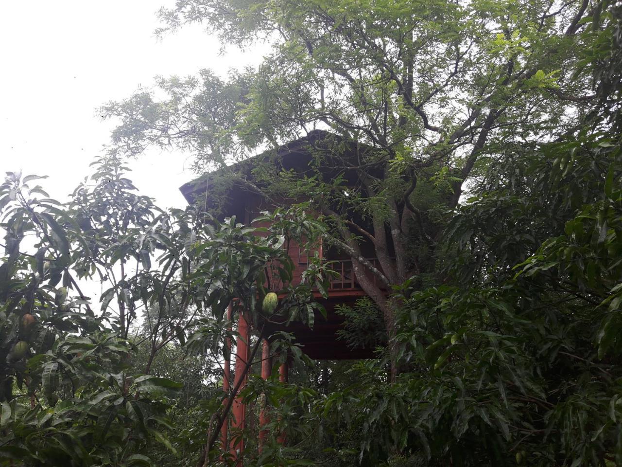 Villa Dambulla Tree House Exterior foto